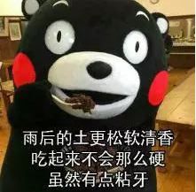 亲亲小保